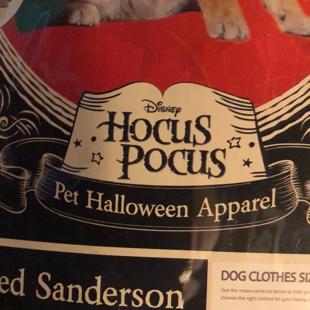 NWT Winifred Halloween Dog Costume